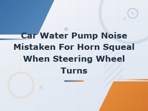Car Water Pump Noise Mistaken for Horn Squeal When Turning Steering Wheel Diy Fix